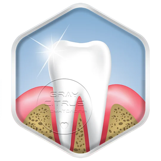 Профилактика полости рта